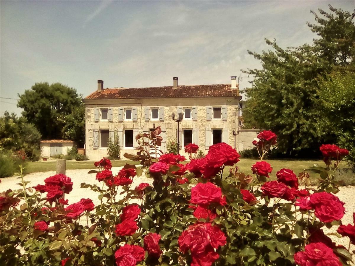 Maison Lavande Bed & Breakfast Saint-Jean-dʼAngély Dış mekan fotoğraf